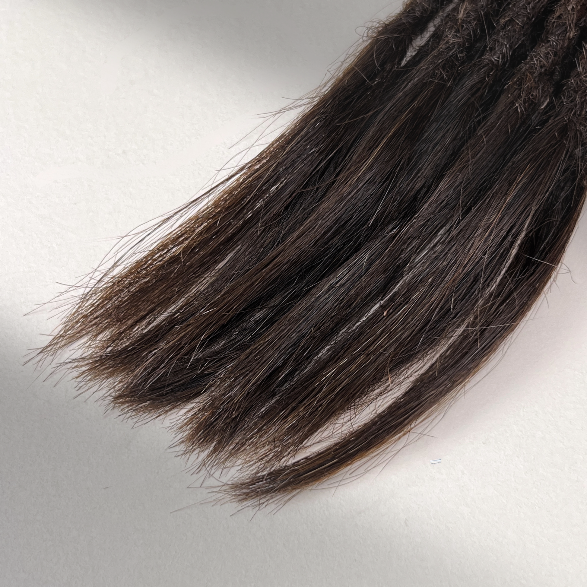 Tip detail of straight loc extensions with open ends in Warm Caramel Brown.
