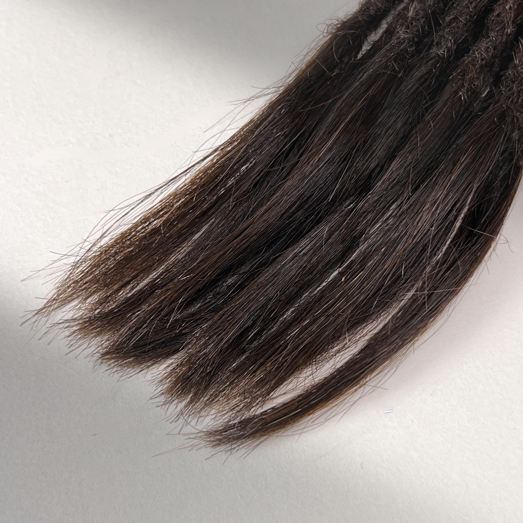 Tip detail of straight loc extensions with open ends in Warm Caramel Brown.