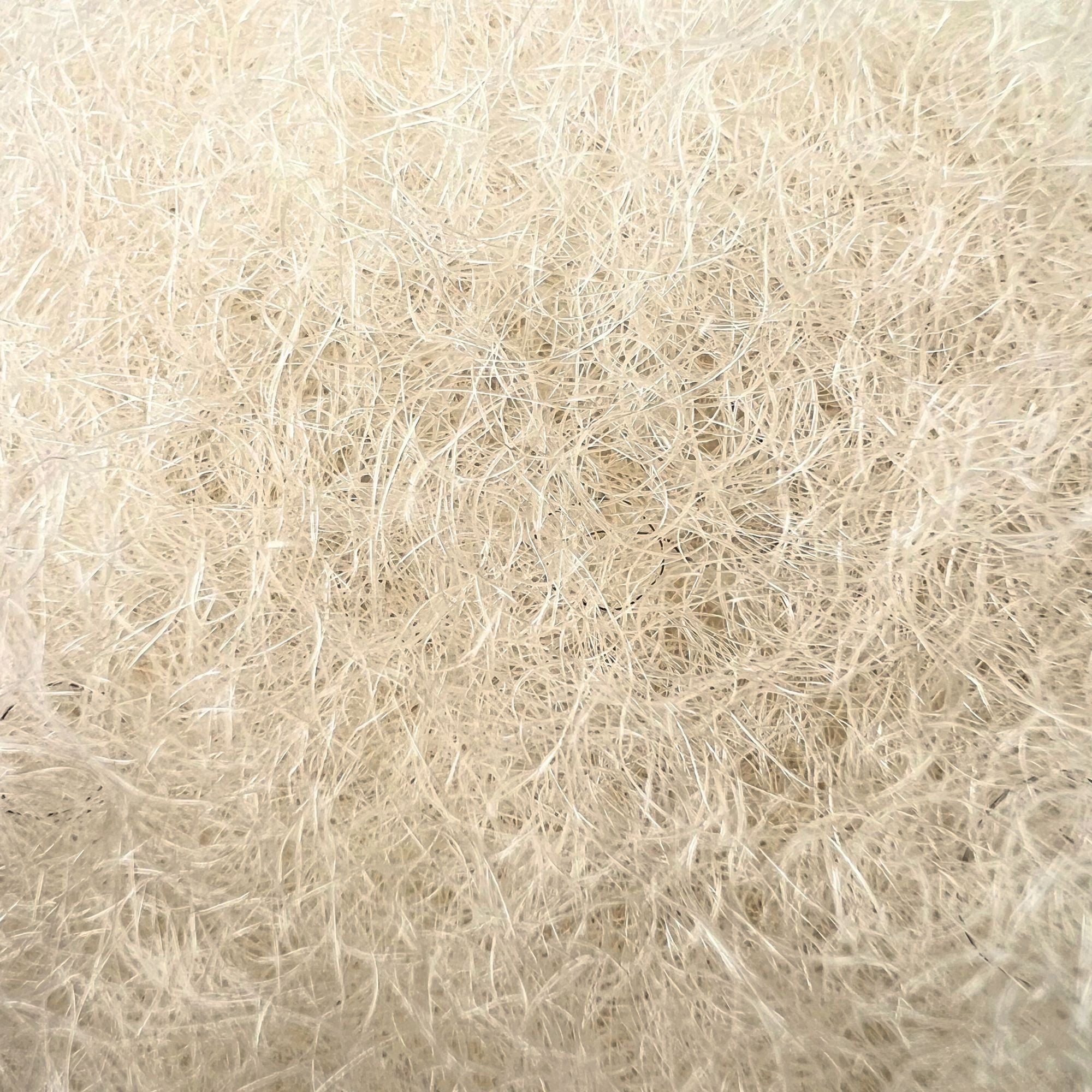 Close-up of Dreadradar Kinky Hair in Bleach Blonde