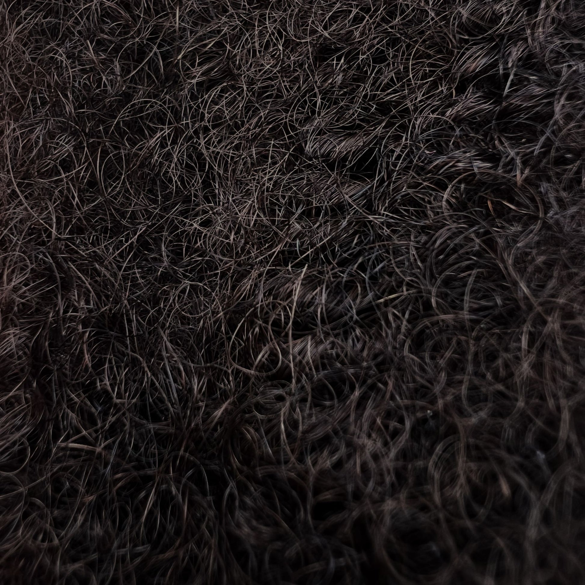 Close-up of Dreadradar Kinky Hair in Dark Brown