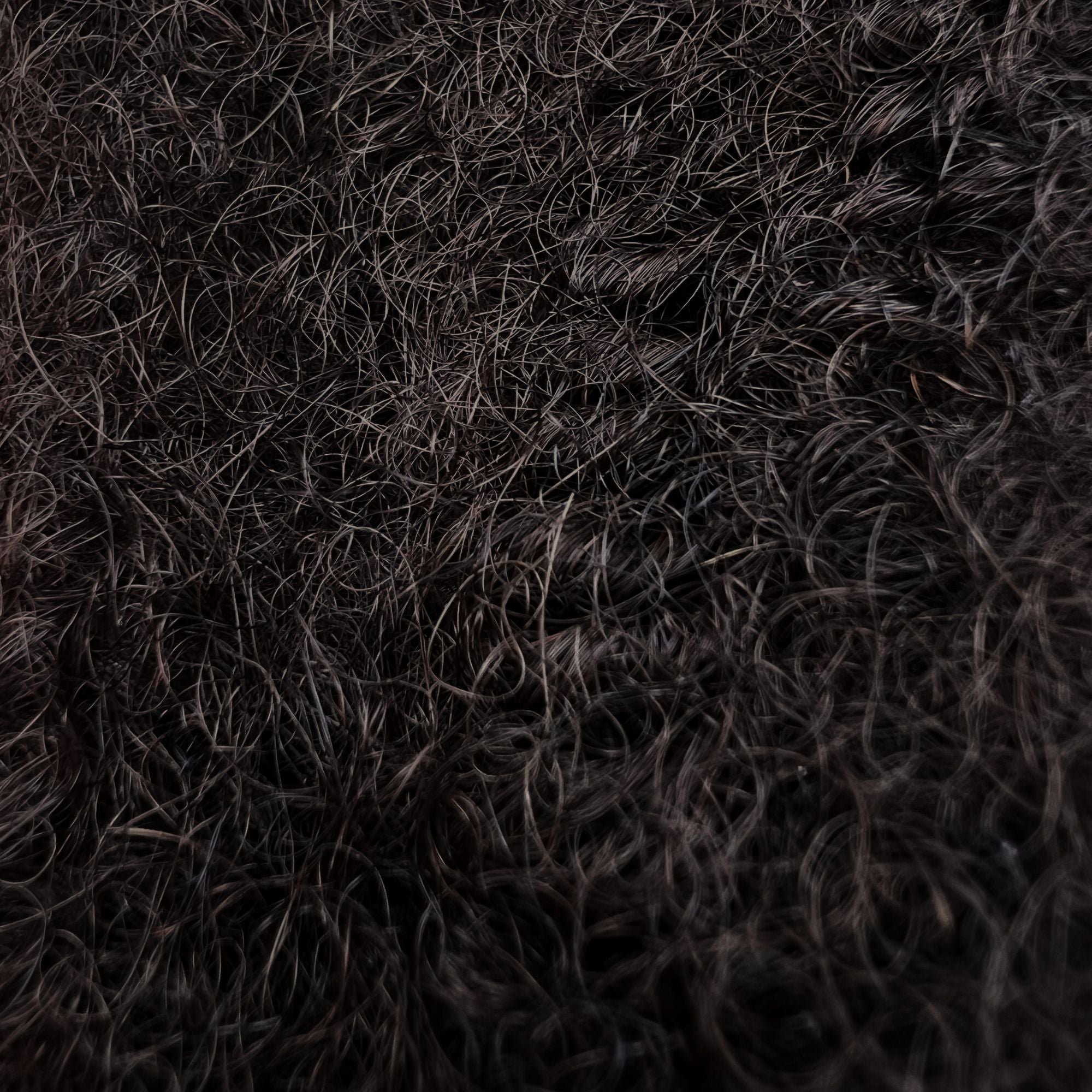 Close-up of Dreadradar Kinky Hair in Dark Brown