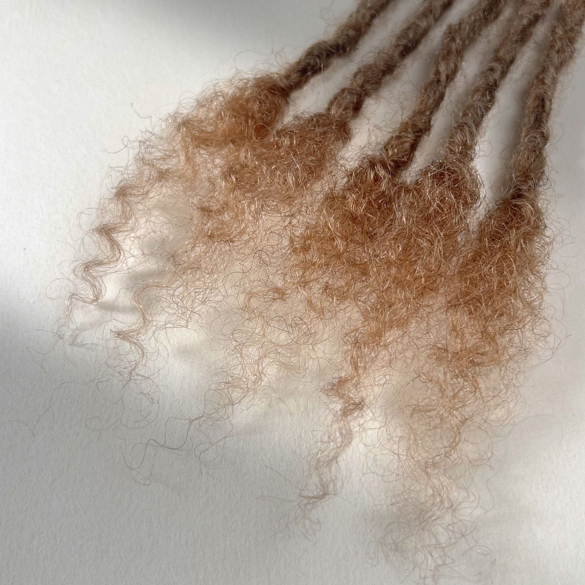 Close-up of the open ends on Dark Blonde kinky human hair loc extensions.