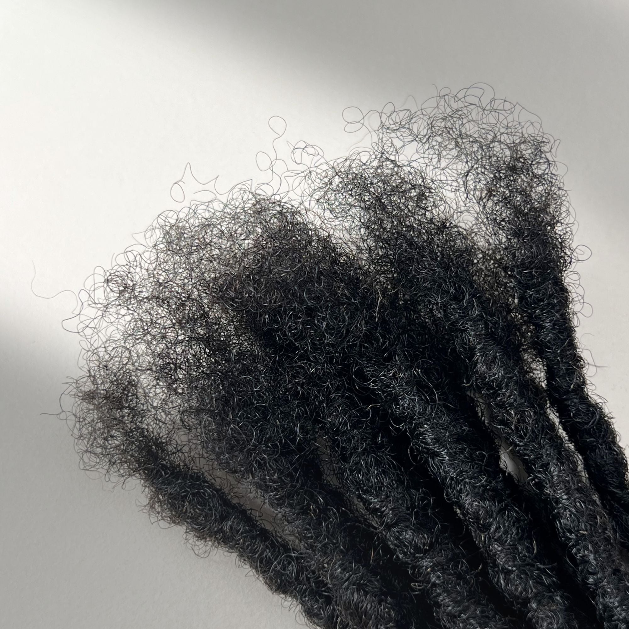 Connection point of kinky loc extensions with blunt ends in Dark Brown, made using the interlocking method.