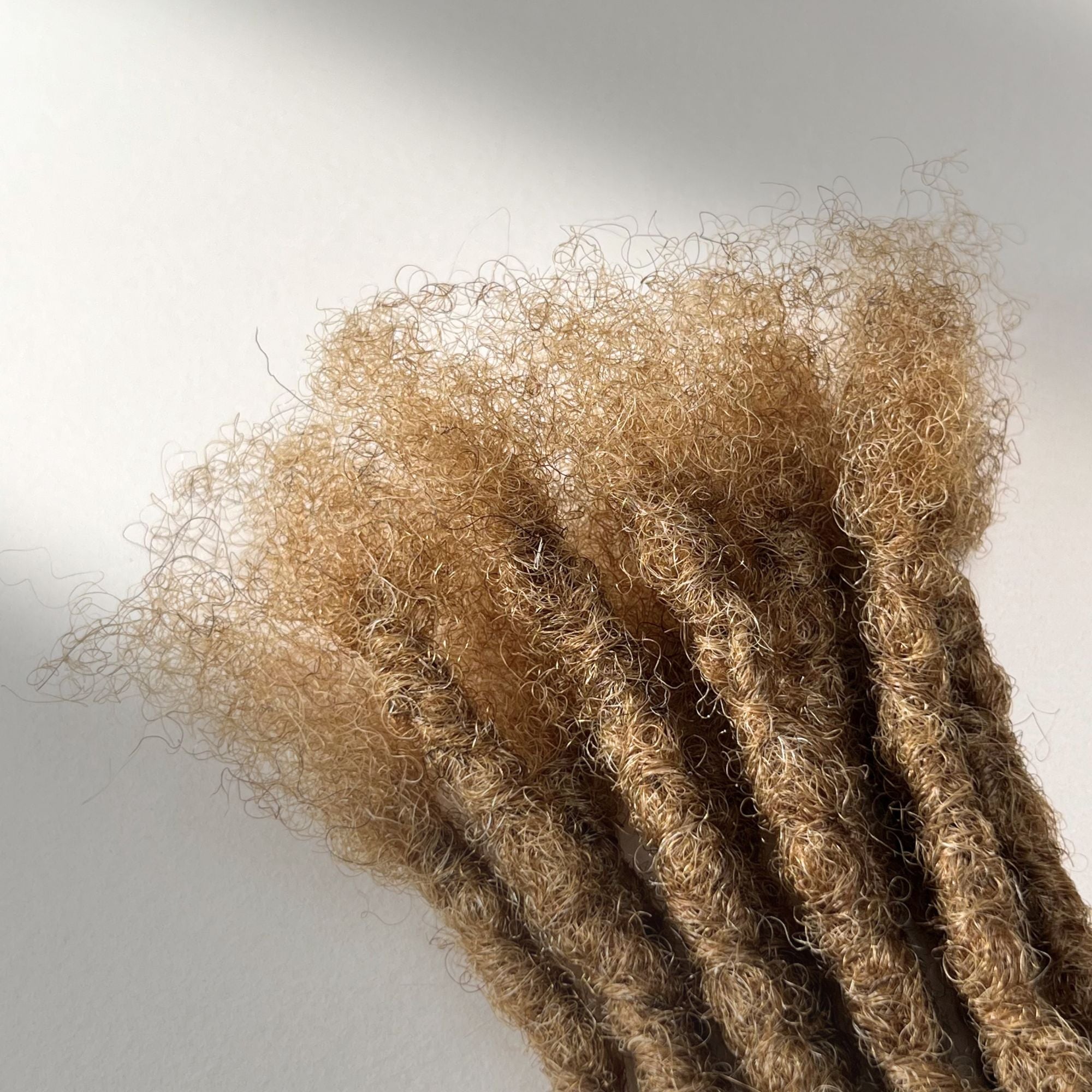 Connection point of kinky loc extensions with blunt ends in Honey Blonde, made using the interlocking method.