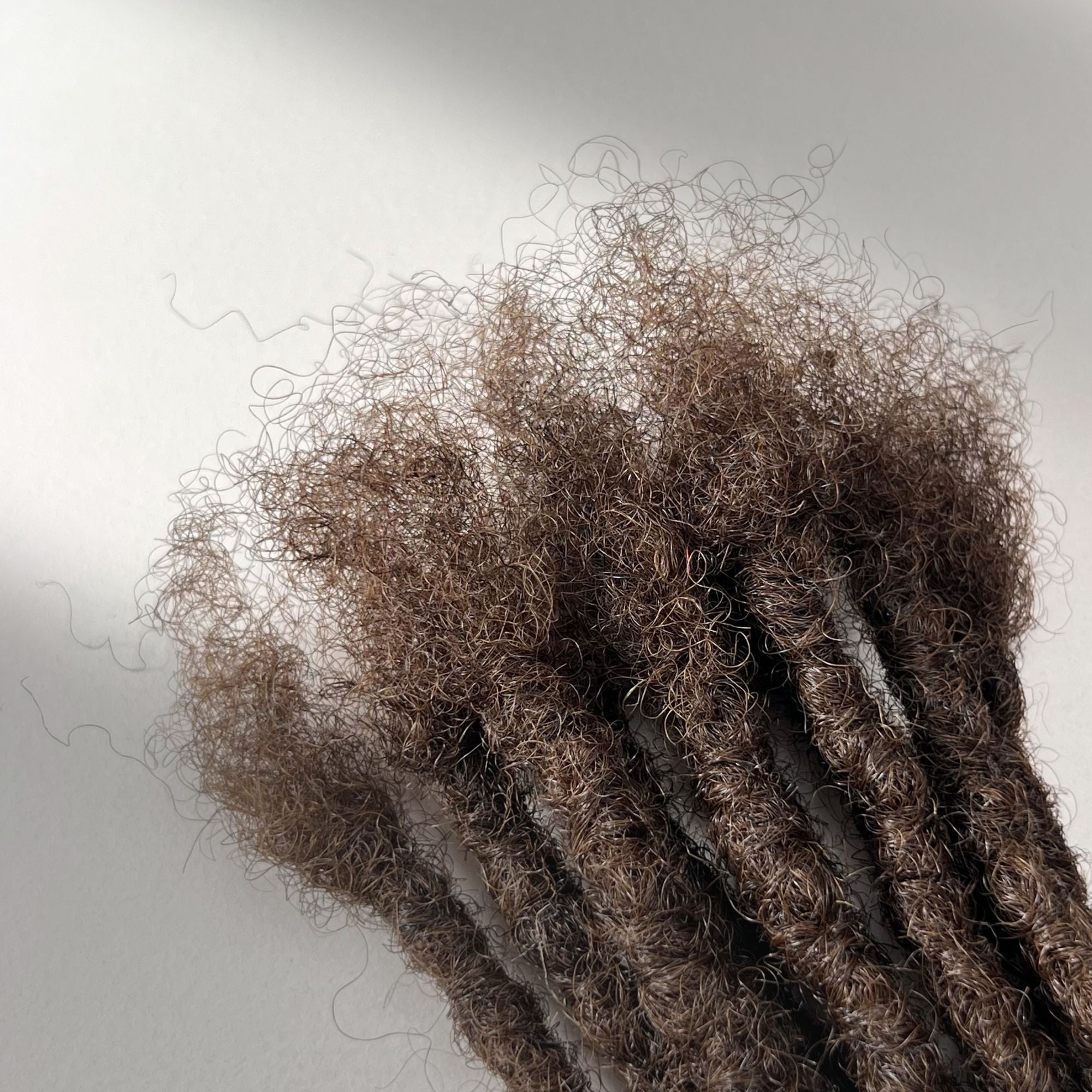 Connection point of kinky loc extensions with blunt ends in Medium Brown, made using the interlocking method.