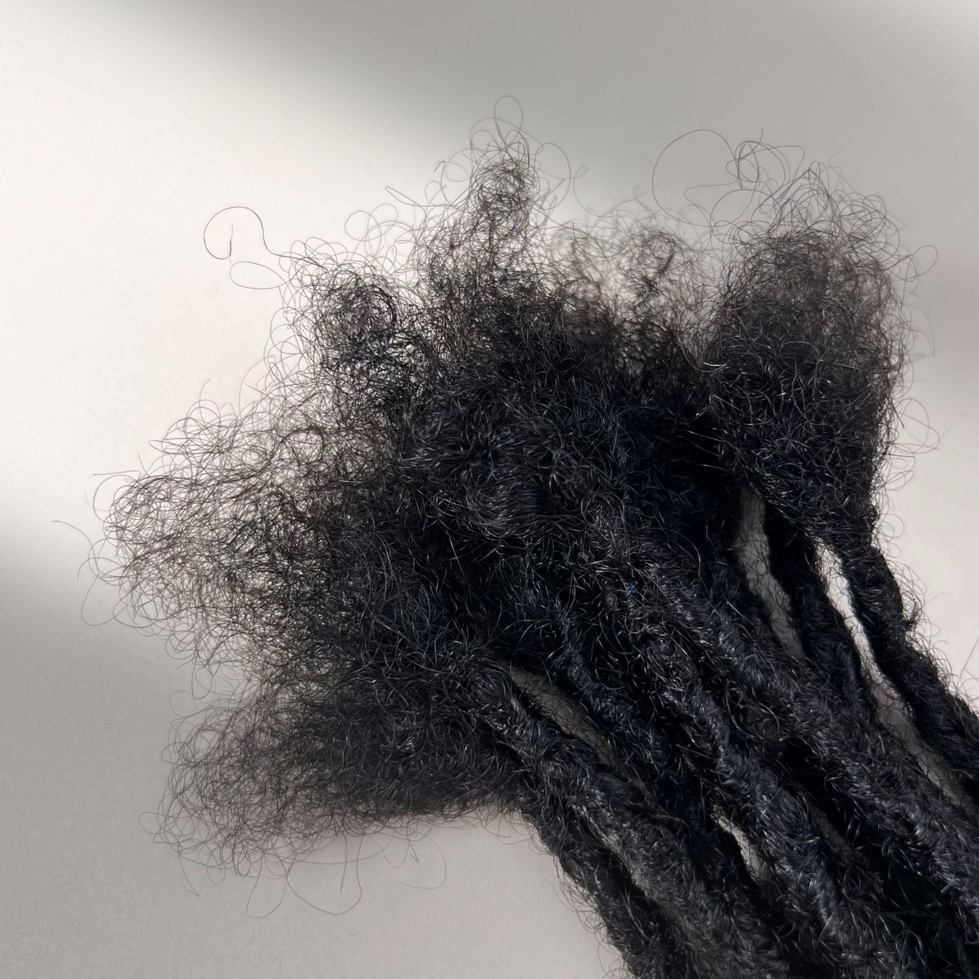 Connection point of kinky loc extensions with curly ends in Natural Black, made using the interlocking method.