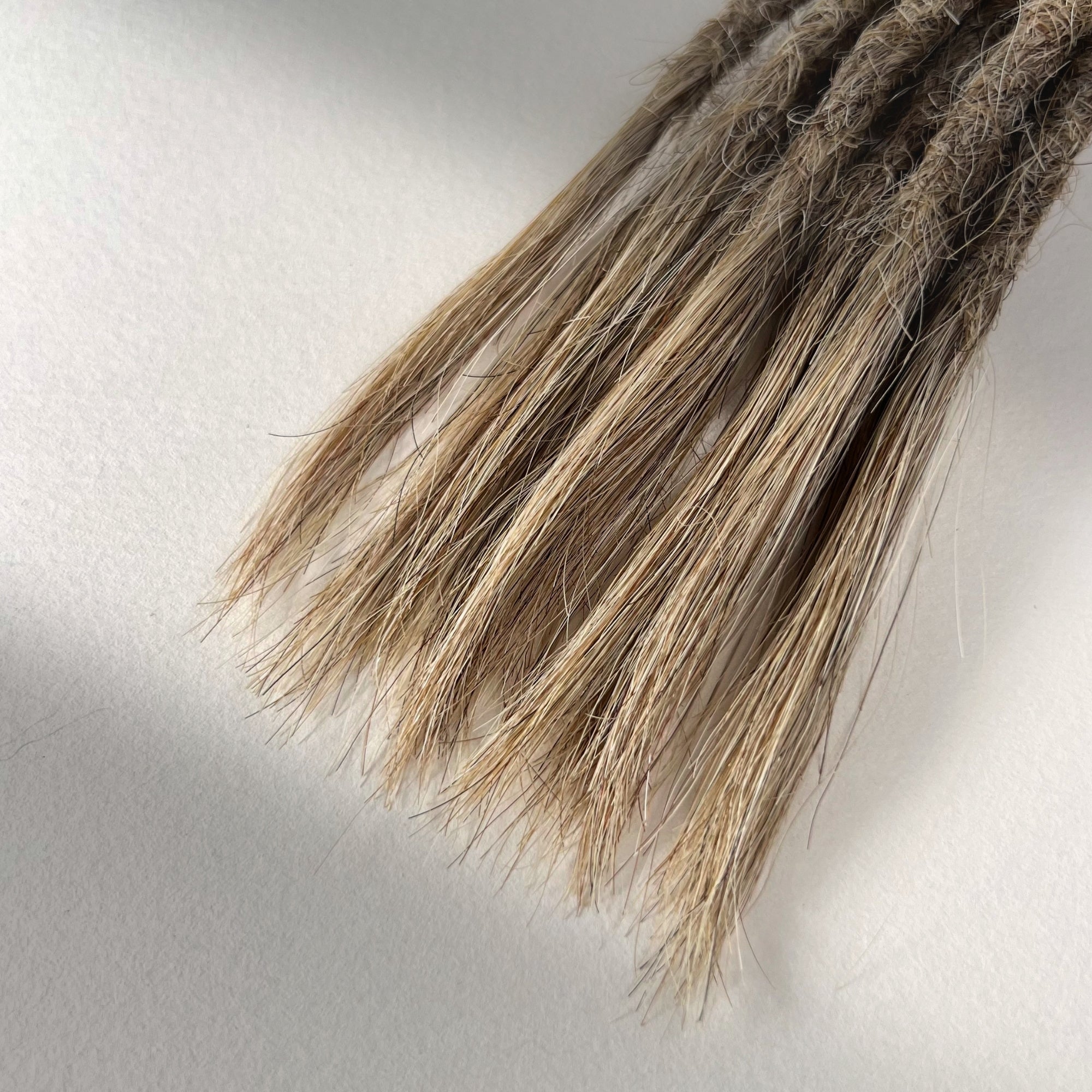 Tip detail of straight loc extensions with open ends in Sandy Blonde.