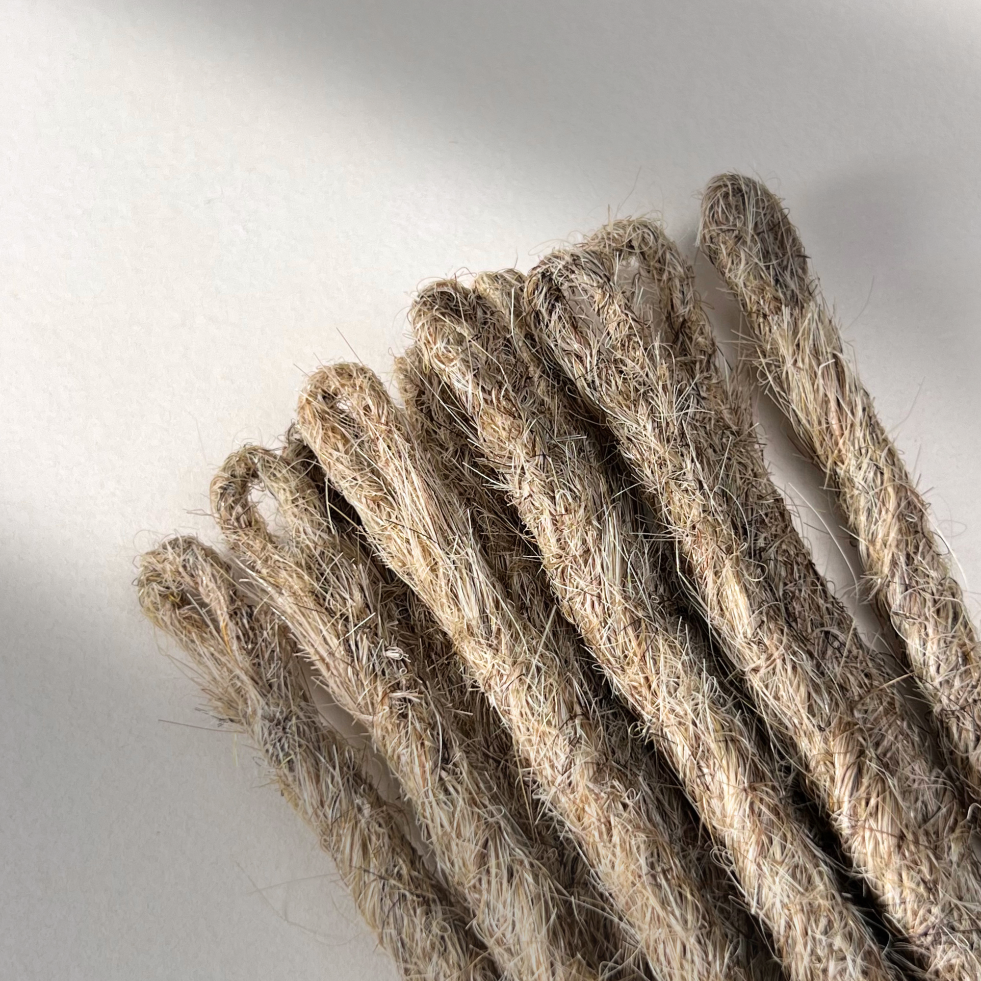 Loop detail of temporary single-ended straight loc extensions in Sandy Blonde.