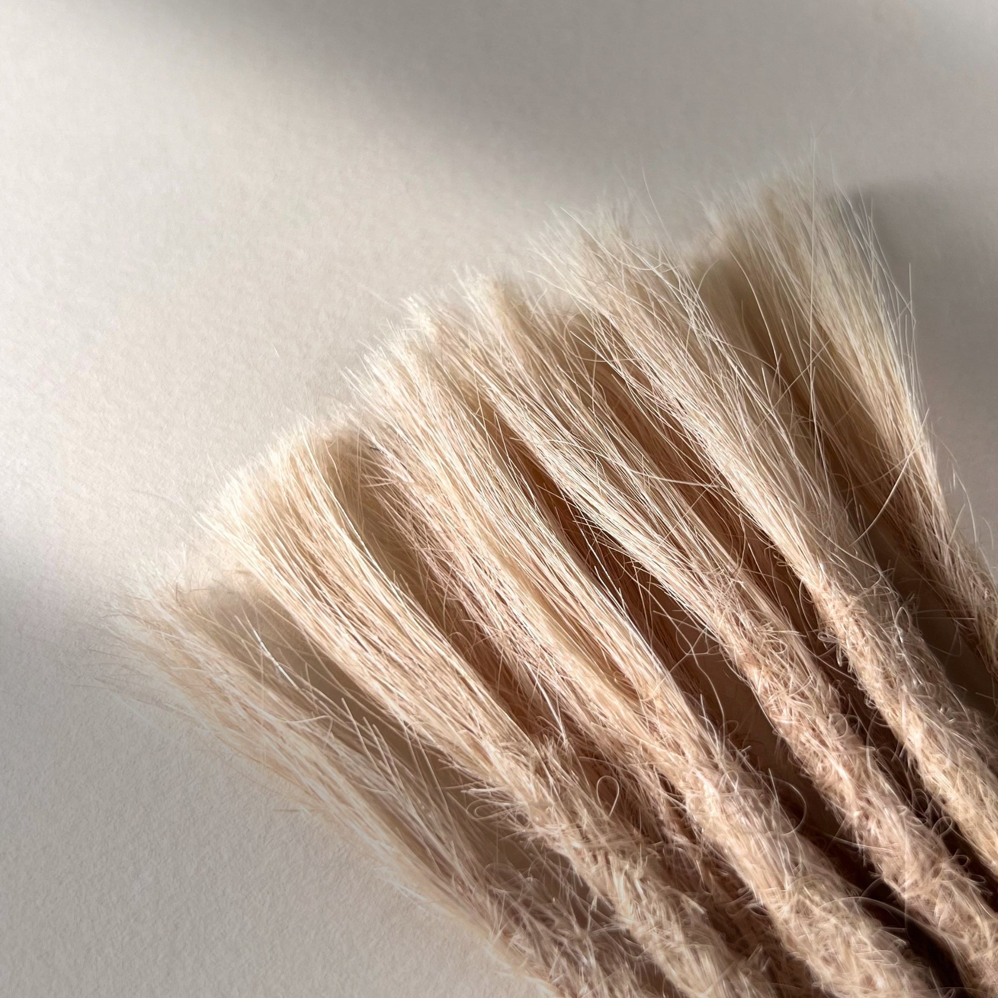 Connection point of permanent straight loc extensions in Cool Ash Blonde.
