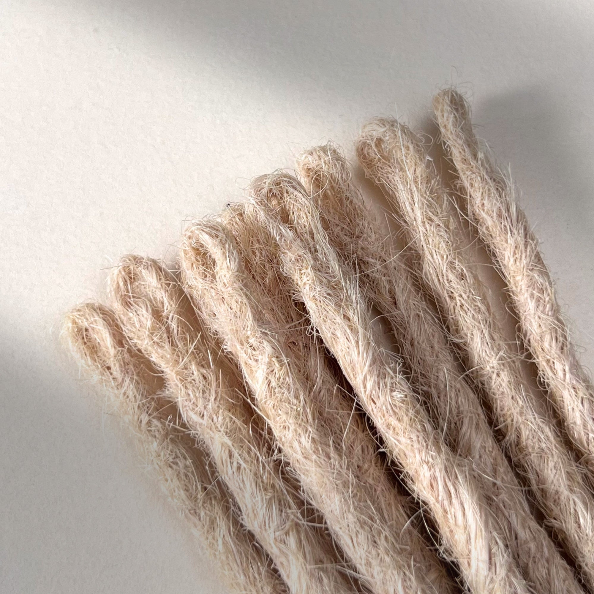 Loop detail of temporary single-ended straight loc extensions in Cool Ash Blonde.