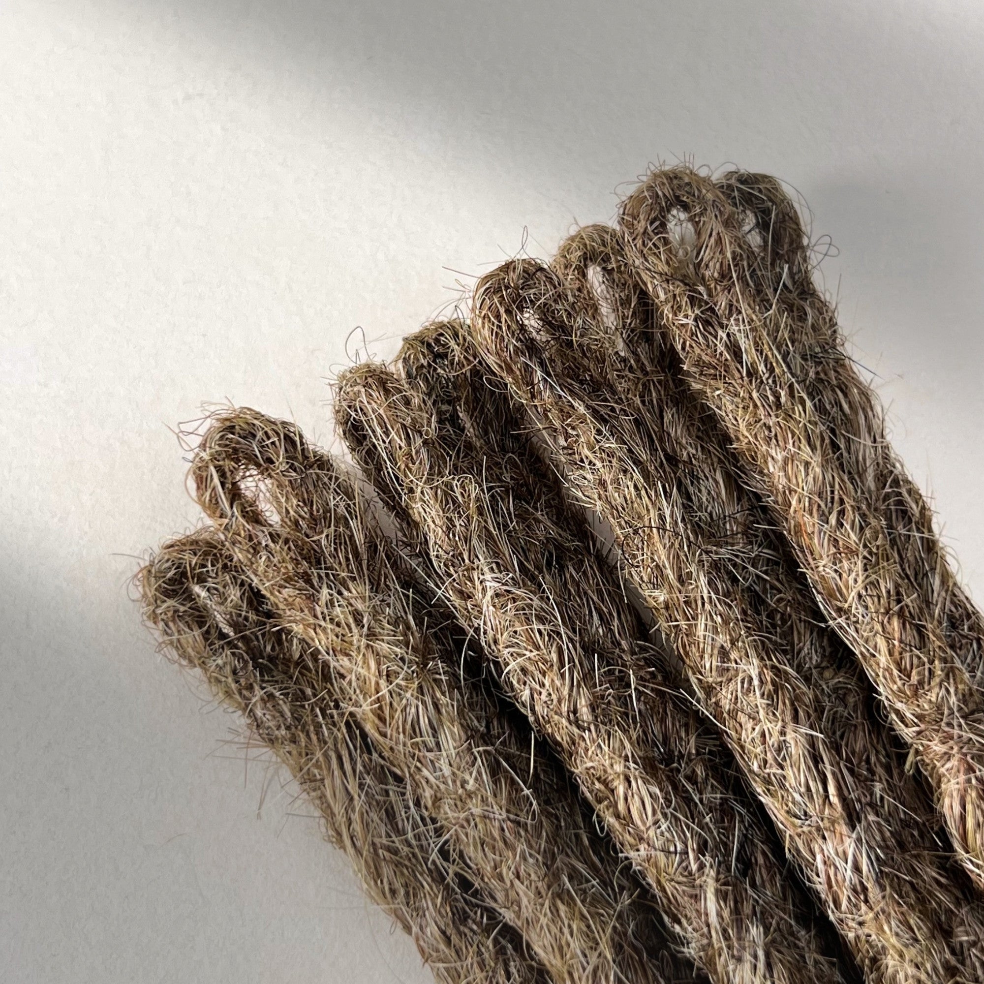 Loop detail of temporary single-ended straight loc extensions in Light Beige Blonde.