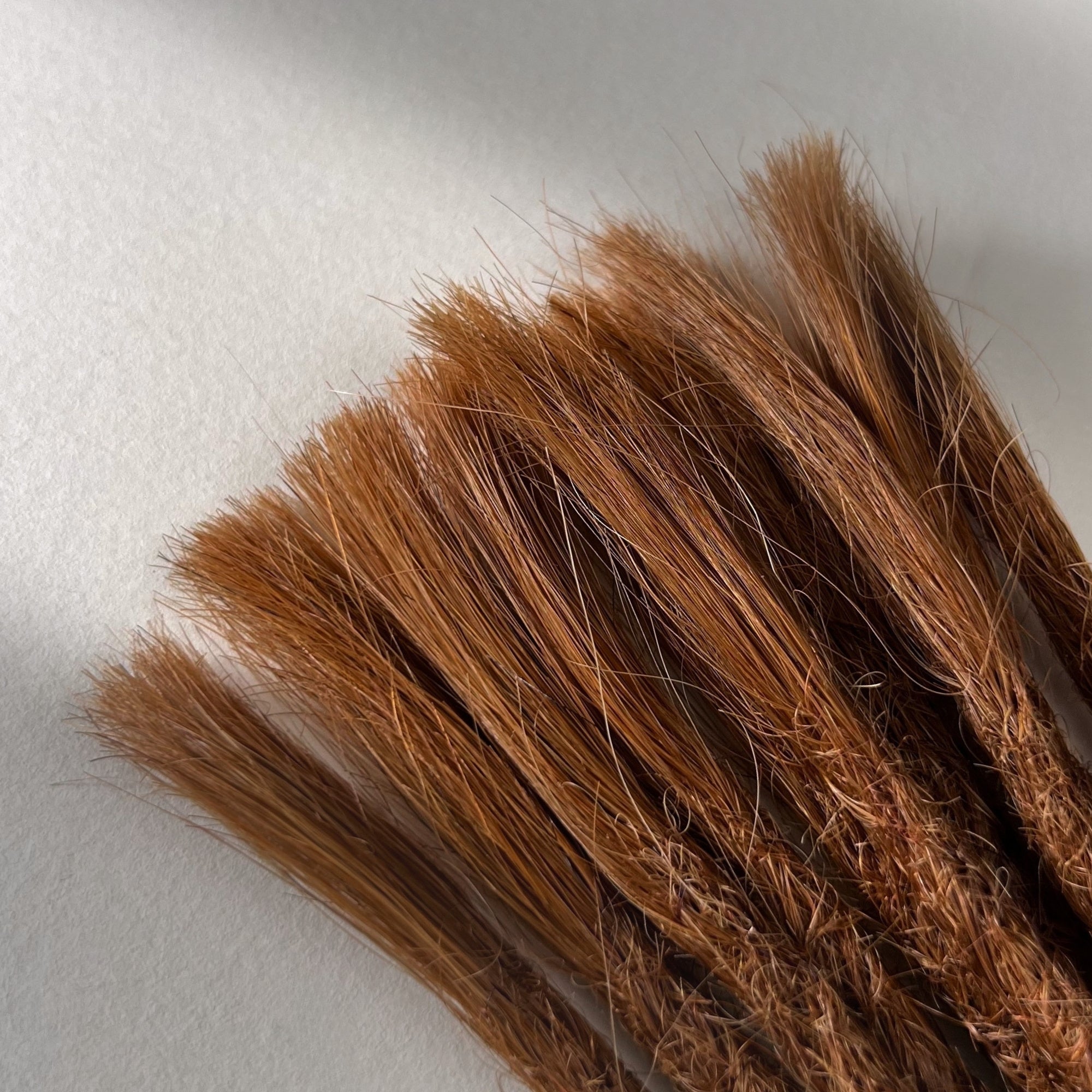 Connection point of permanent straight loc extensions in Burnt Sienna Copper.