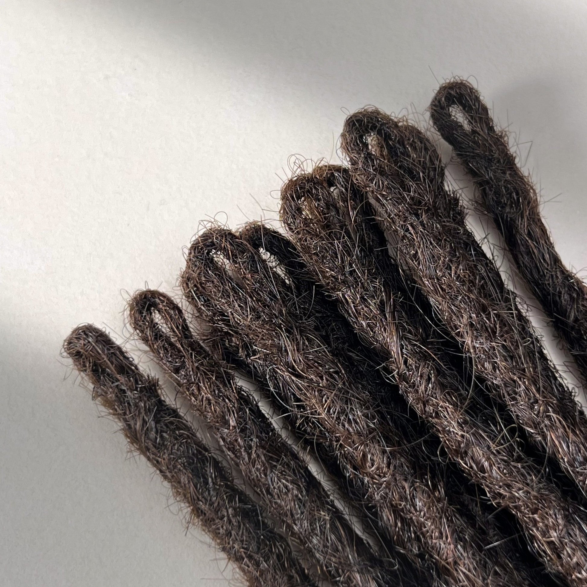 Loop detail of temporary single-ended straight loc extensions with open ends in Warm Caramel Brown.