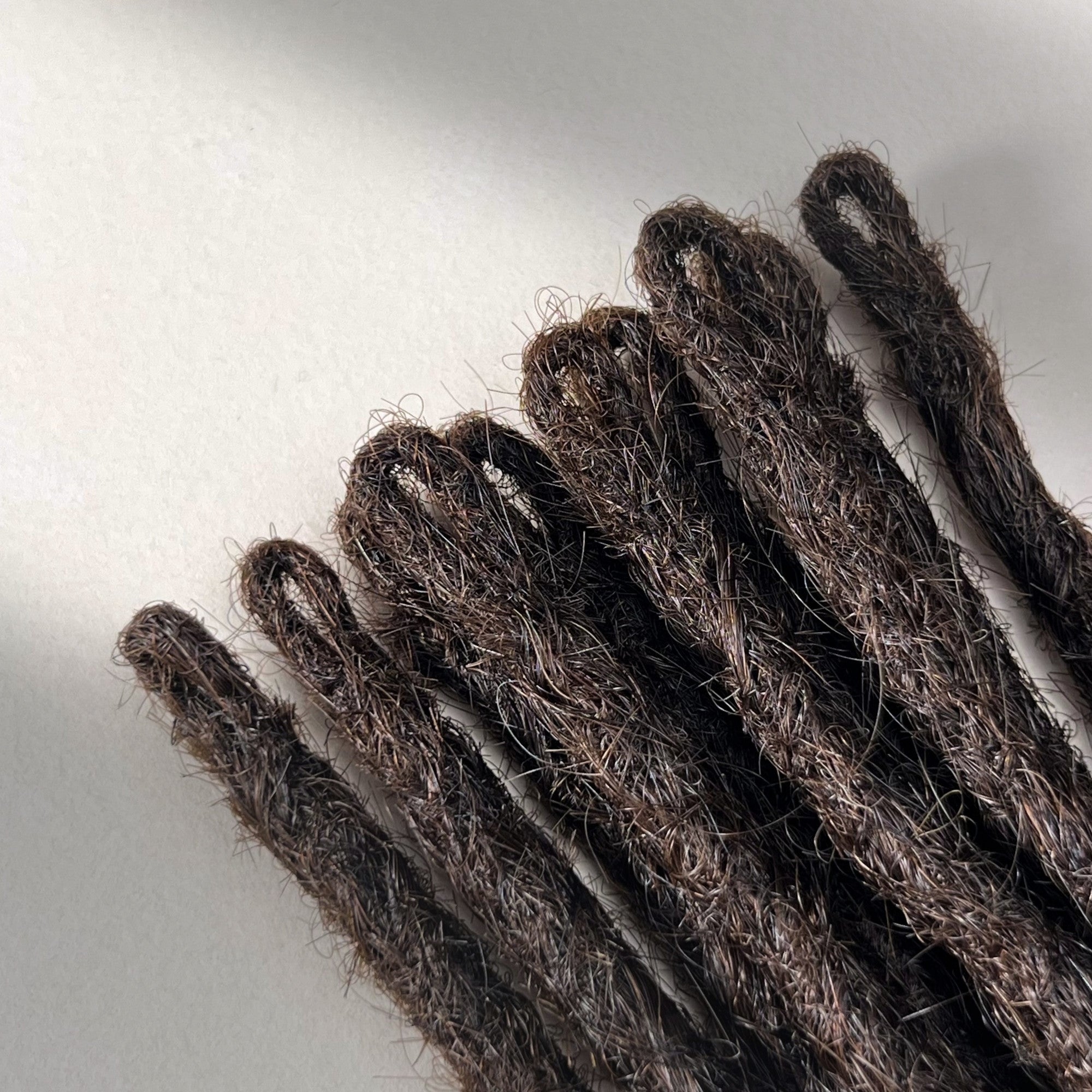 Loop detail of temporary single-ended straight loc extensions with open ends in Warm Caramel Brown.