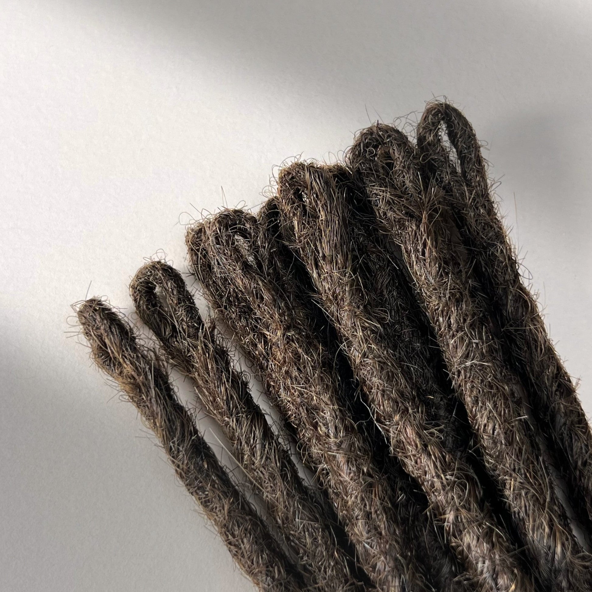 Loop detail of temporary single-ended straight loc extensions with open ends in Dark Wenge Brown.