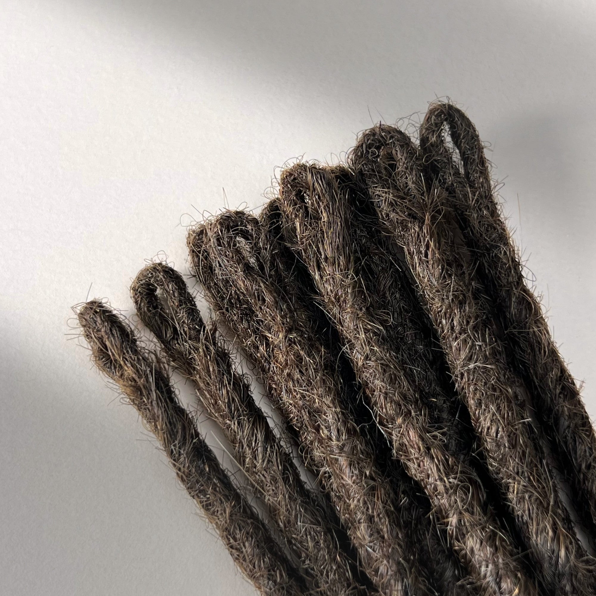 Loop detail of temporary single-ended straight loc extensions with open ends in Dark Wenge Brown.