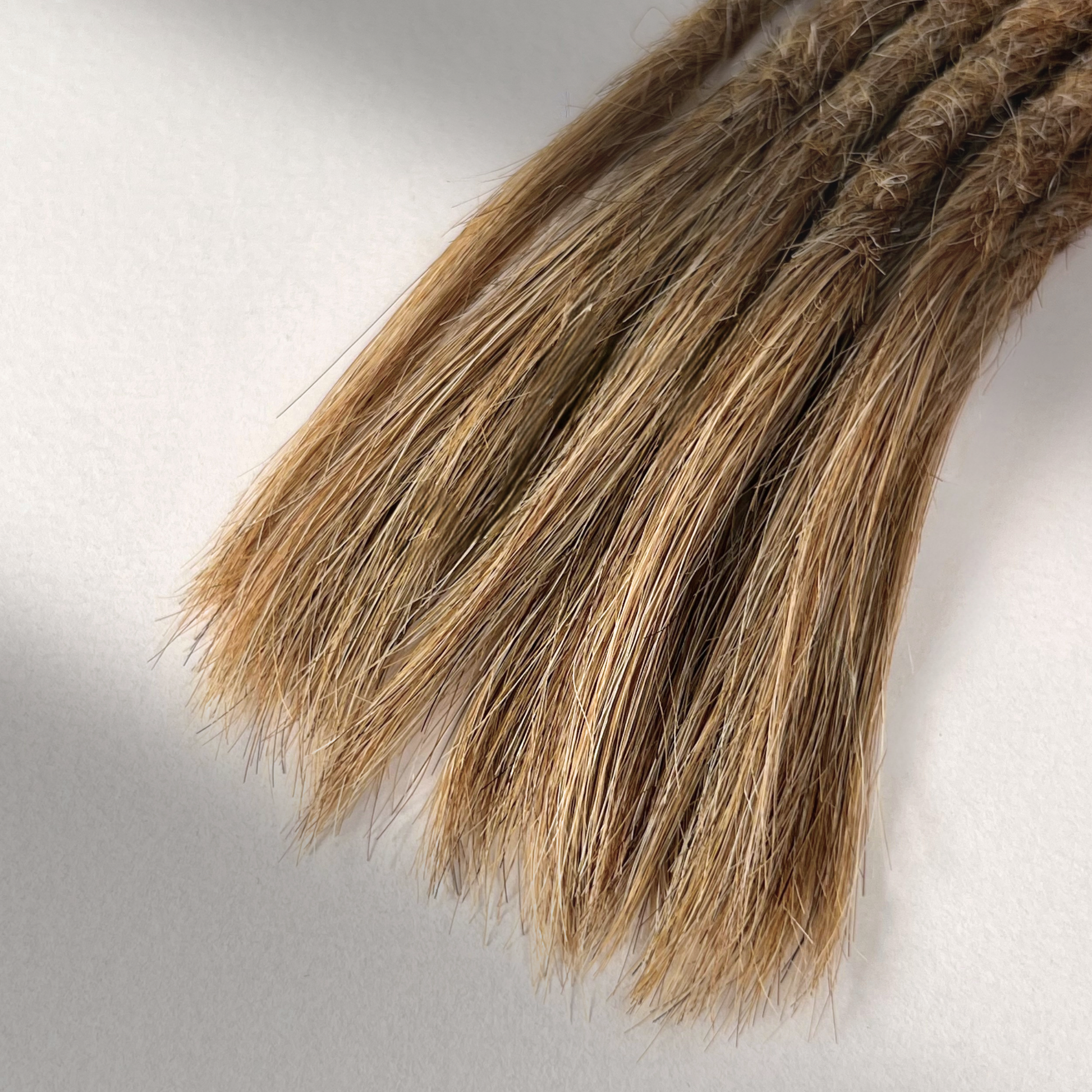 Tip detail of straight loc extensions with open ends in Honey Blonde.