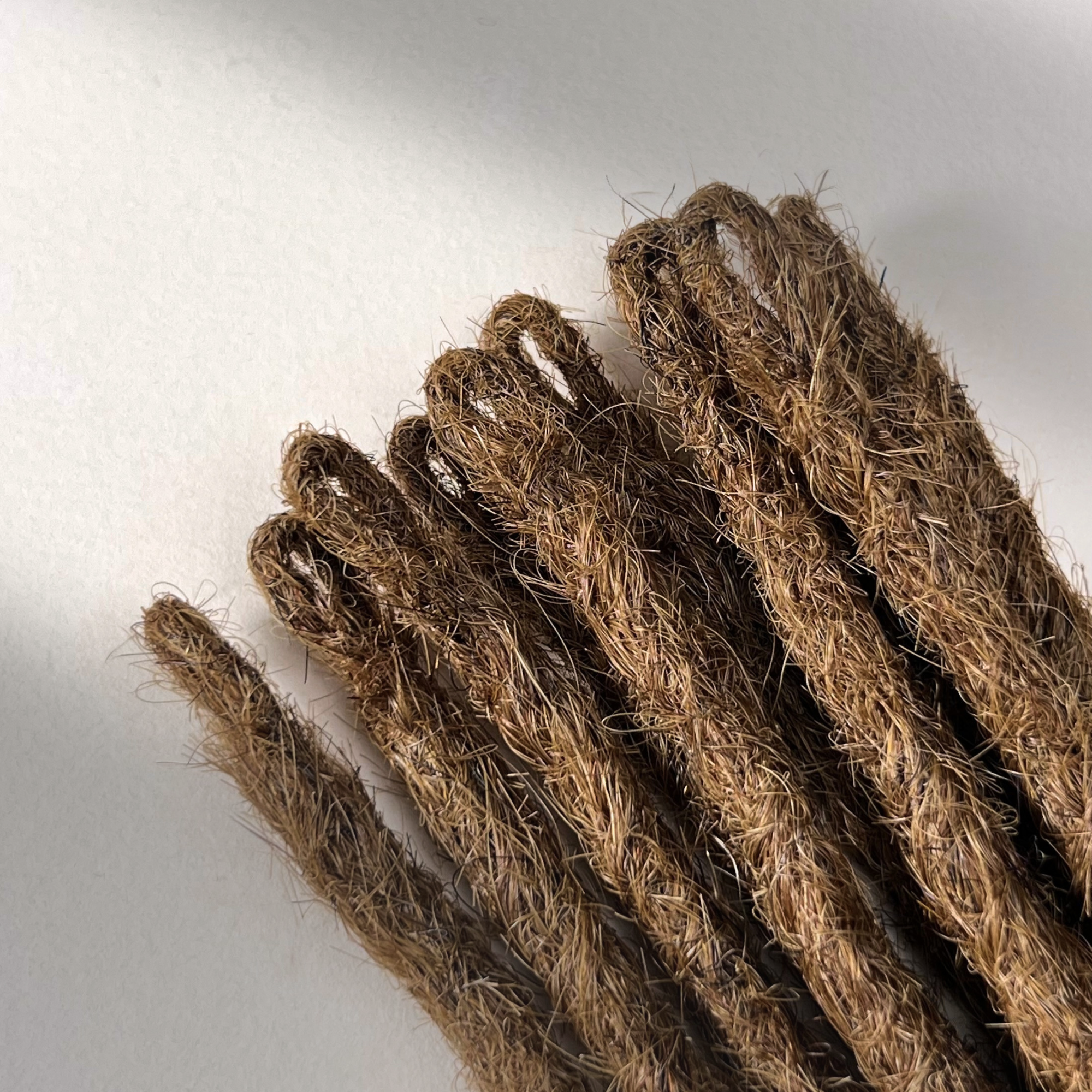 Loop detail of temporary single-ended straight loc extensions in Honey Brown.