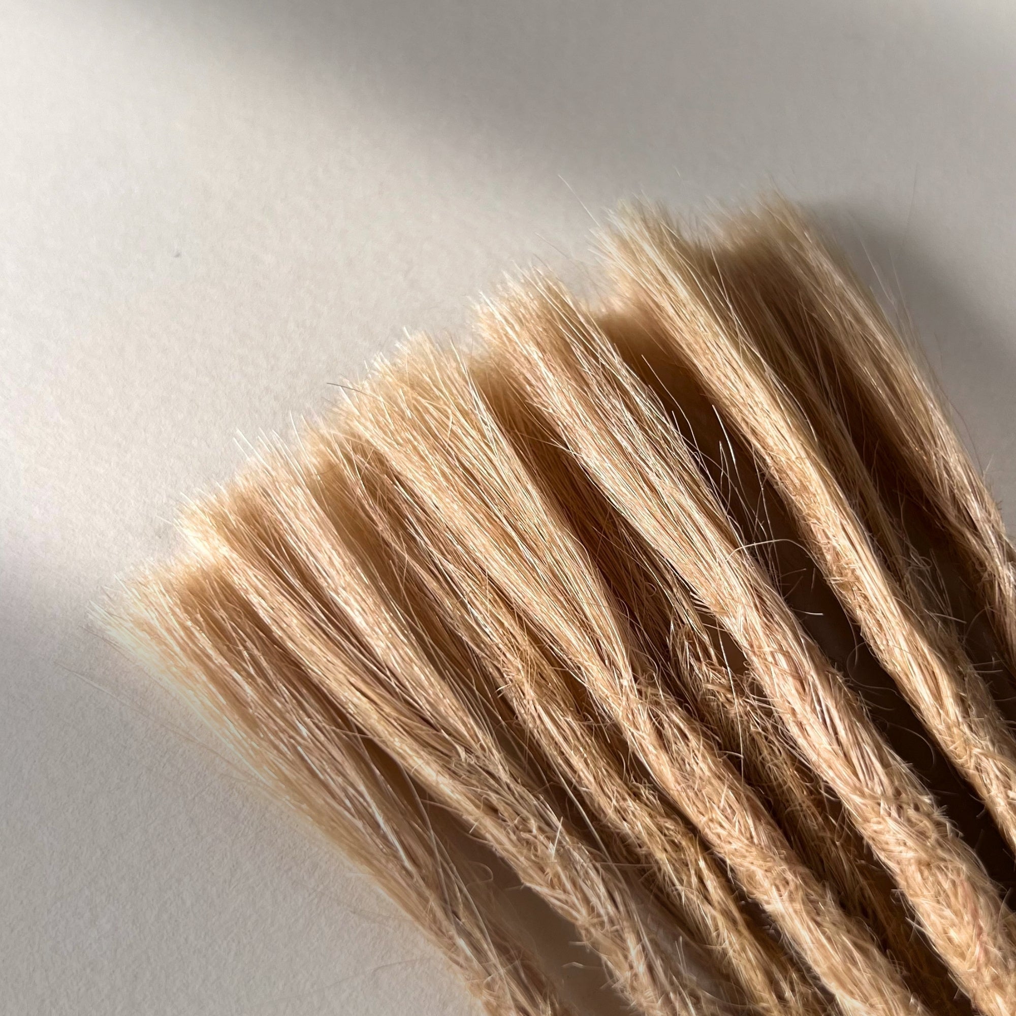 Connection point of permanent straight loc extensions in Vanilla Blonde.