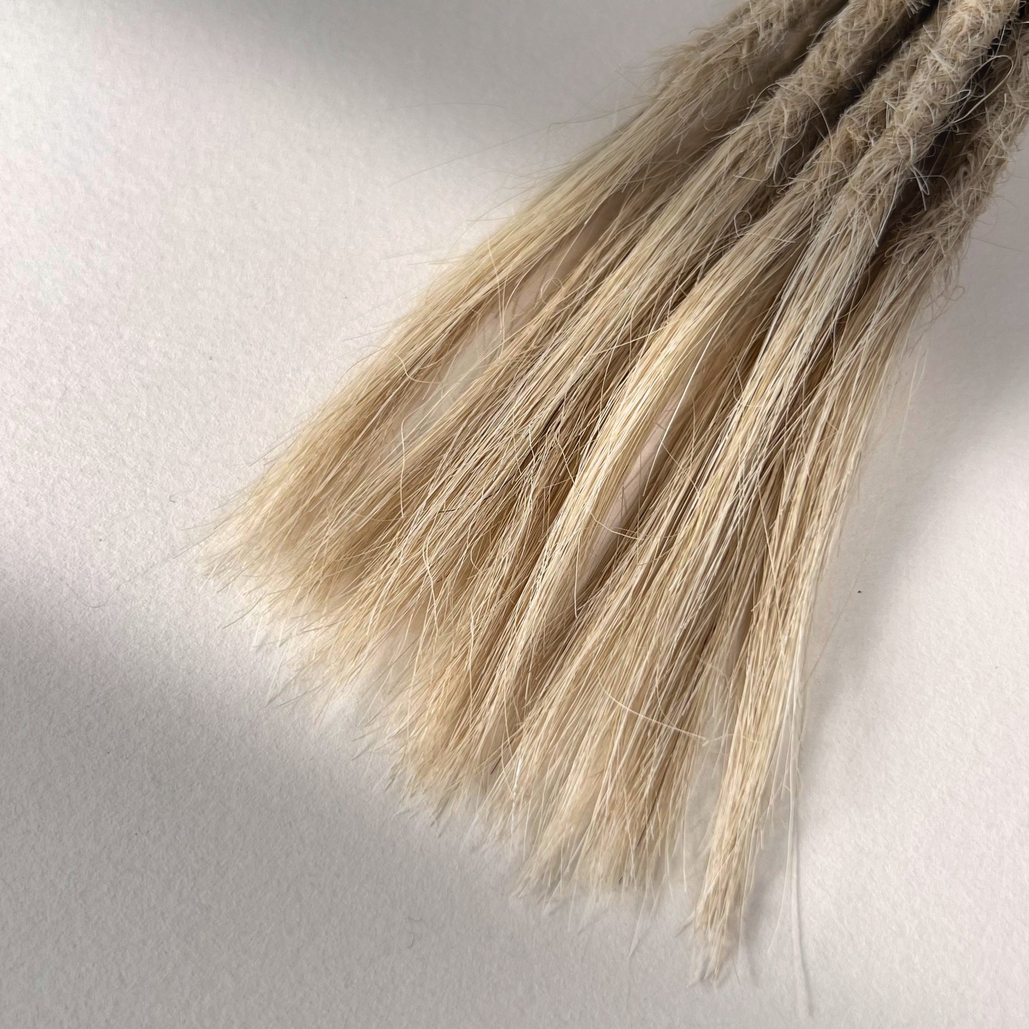Tip detail of straight loc extensions with open ends in Cream Blonde.