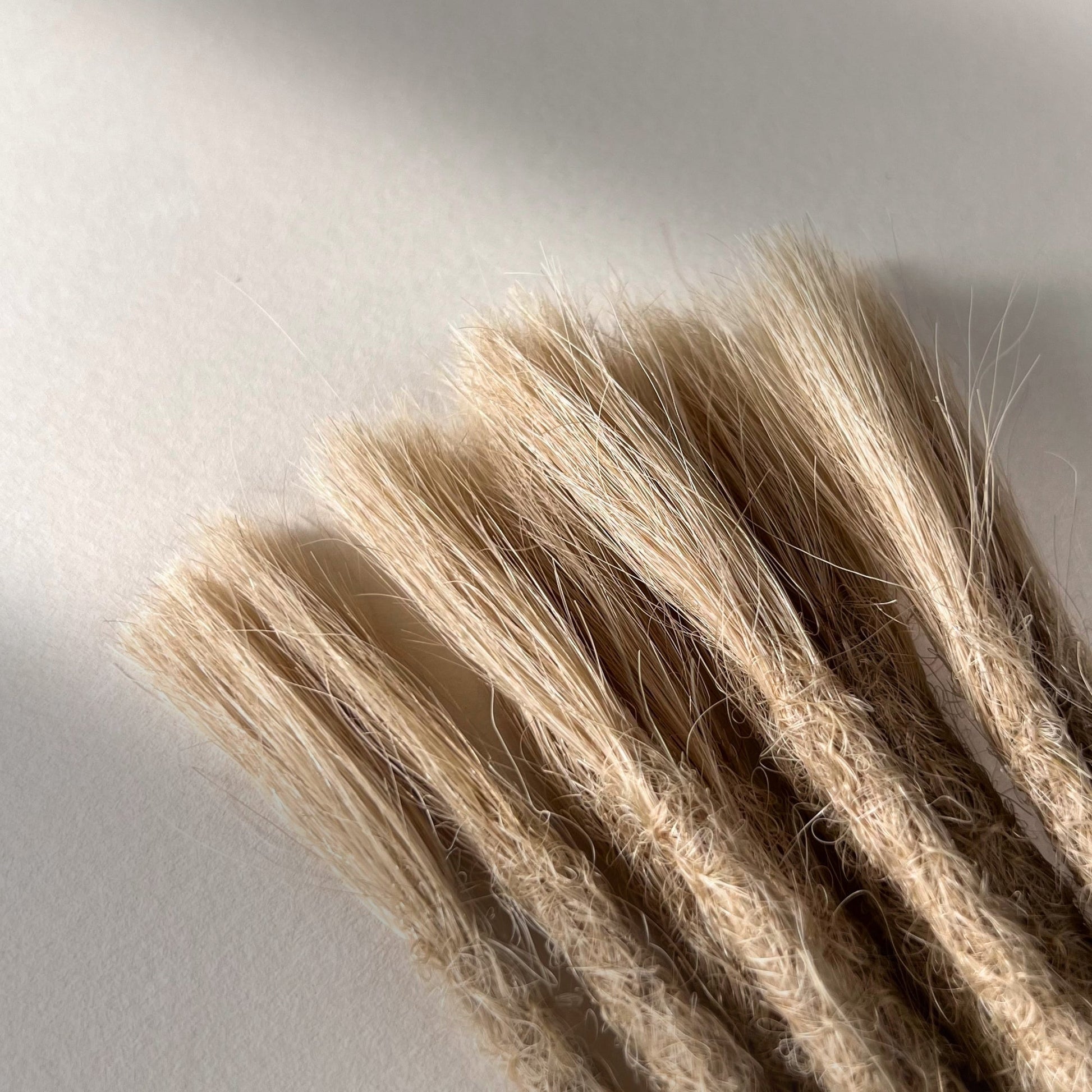 Connection point of permanent straight loc extensions in Cream Blonde.