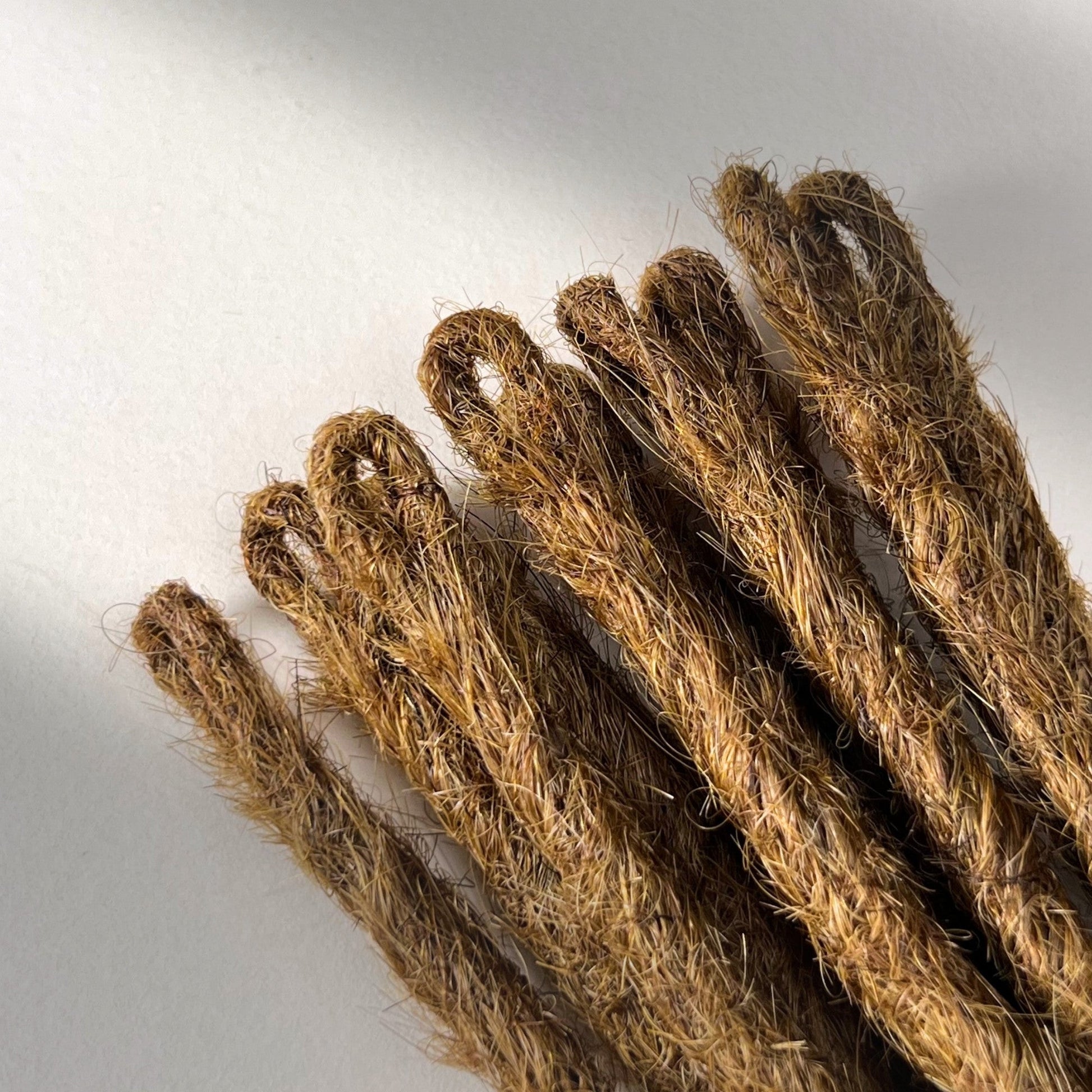 Loop detail of temporary single-ended straight loc extensions with open ends in Warm Chestnut Brown.