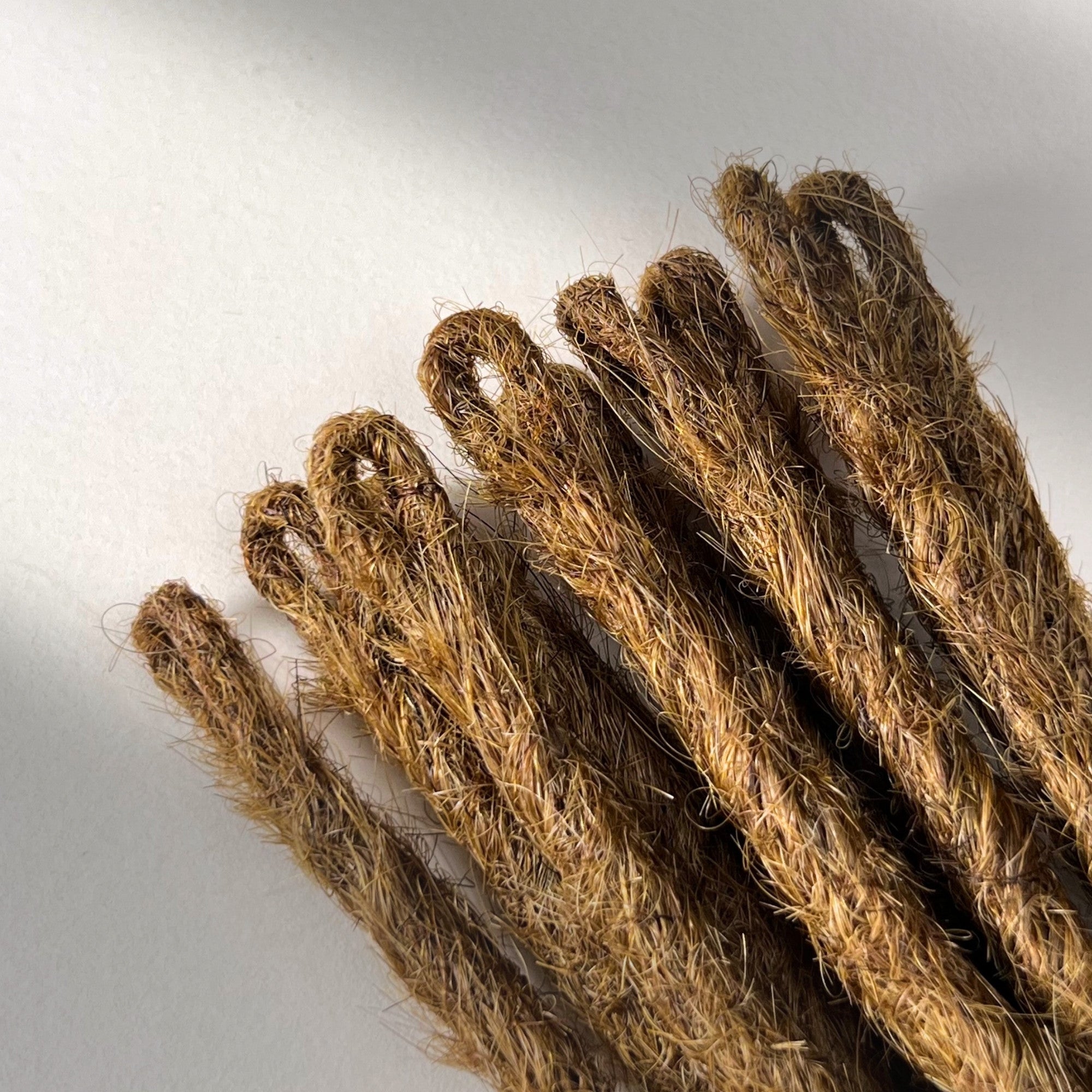Loop detail of temporary single-ended straight loc extensions with open ends in Warm Chestnut Brown.