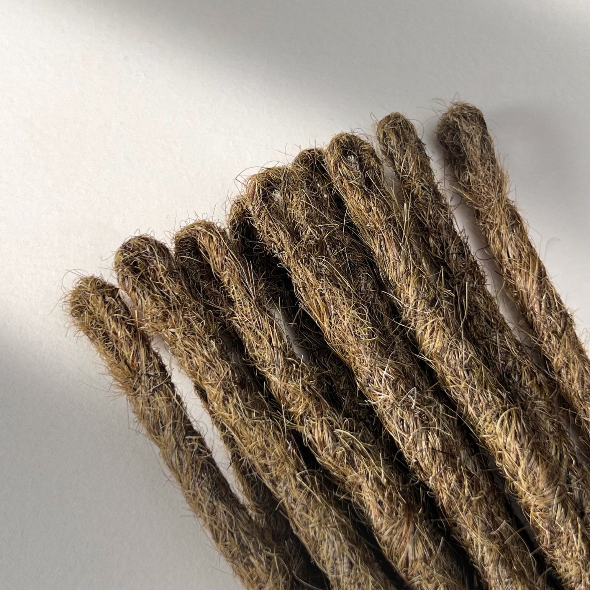 Loop detail of temporary single-ended straight loc extensions with open ends in Natural Medium Brown.