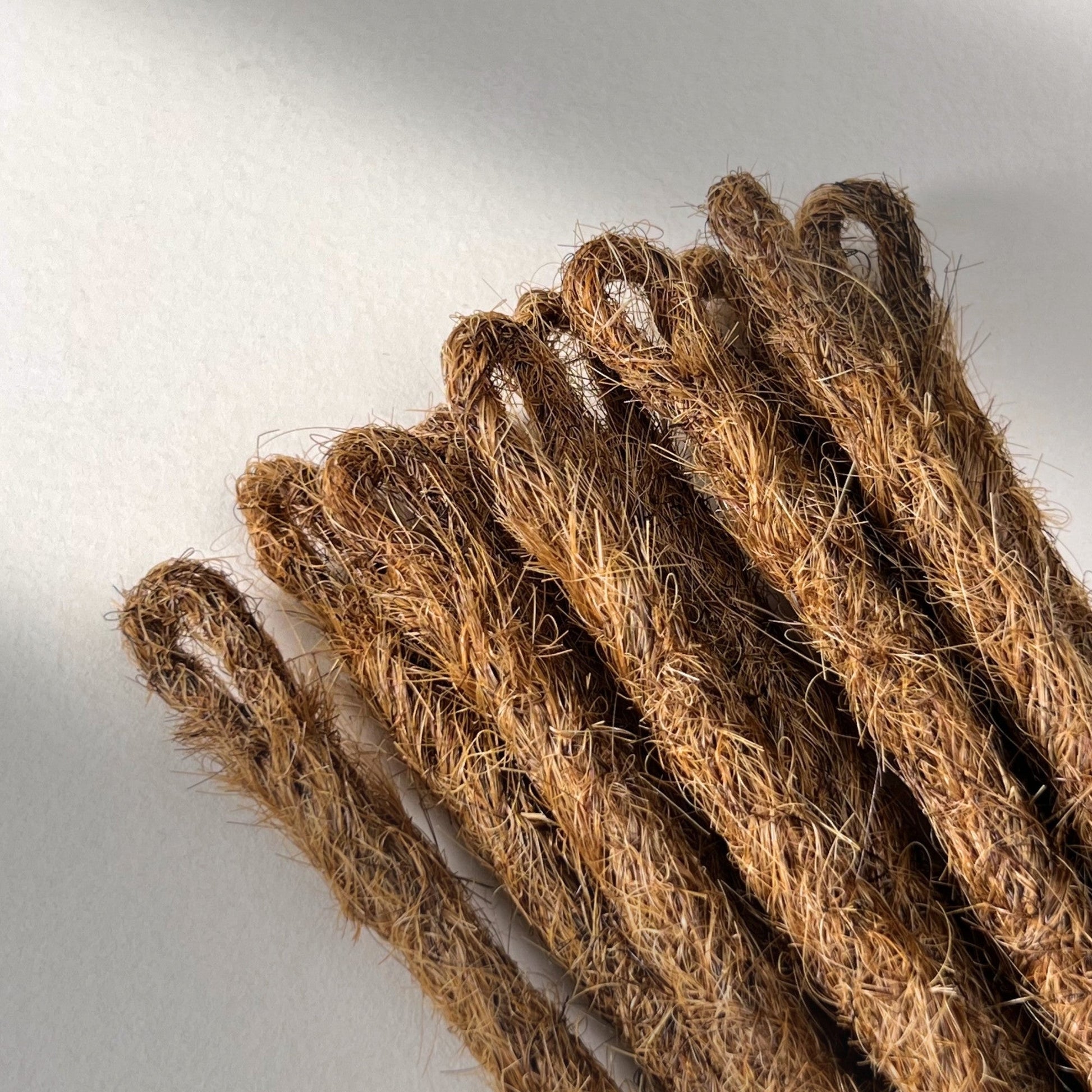 Loop detail of temporary single-ended straight loc extensions in Auburn Copper.