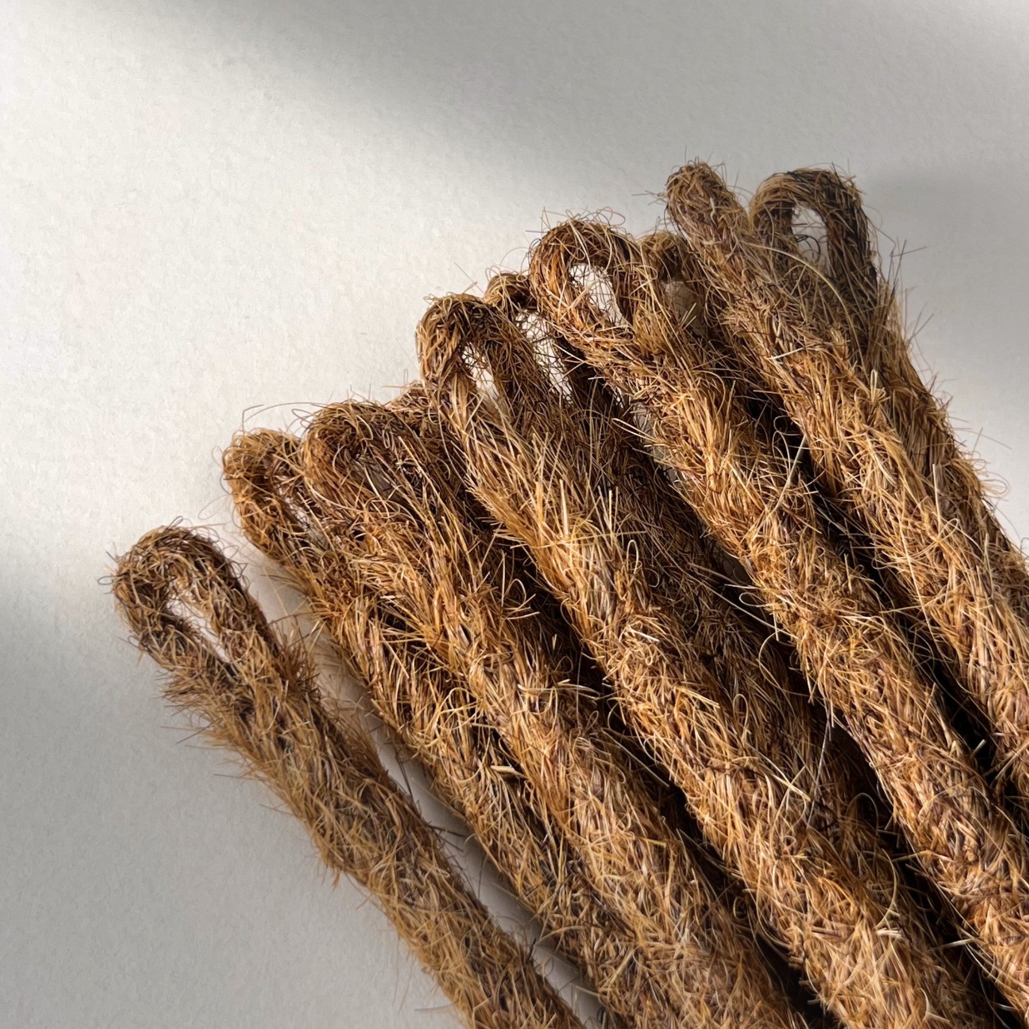 Loop detail of temporary single-ended straight loc extensions in Auburn Copper.