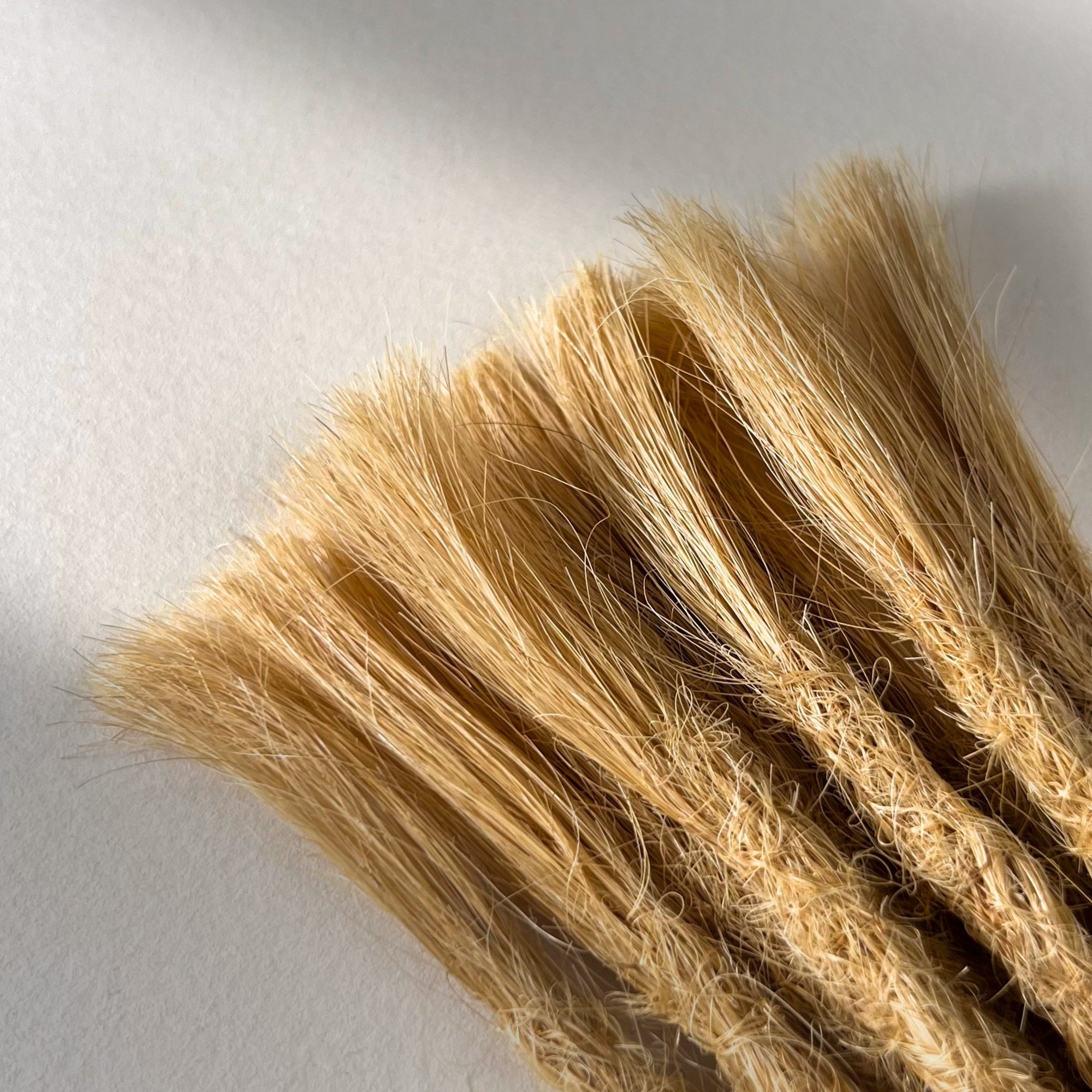 Connection point of permanent straight loc extensions in Sunkissed Blonde.