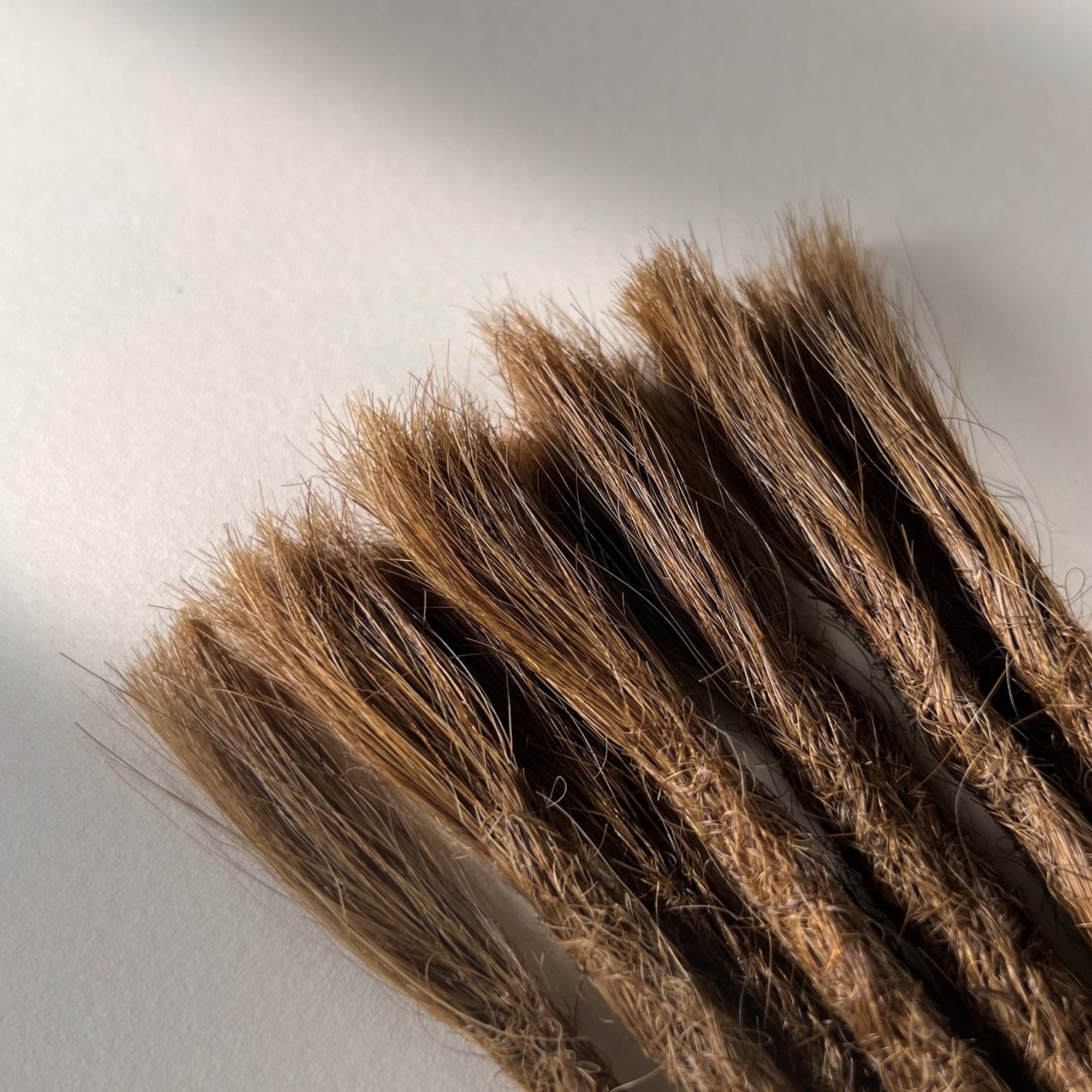 Connection point of permanent straight loc extensions in Warm Golden Brown.