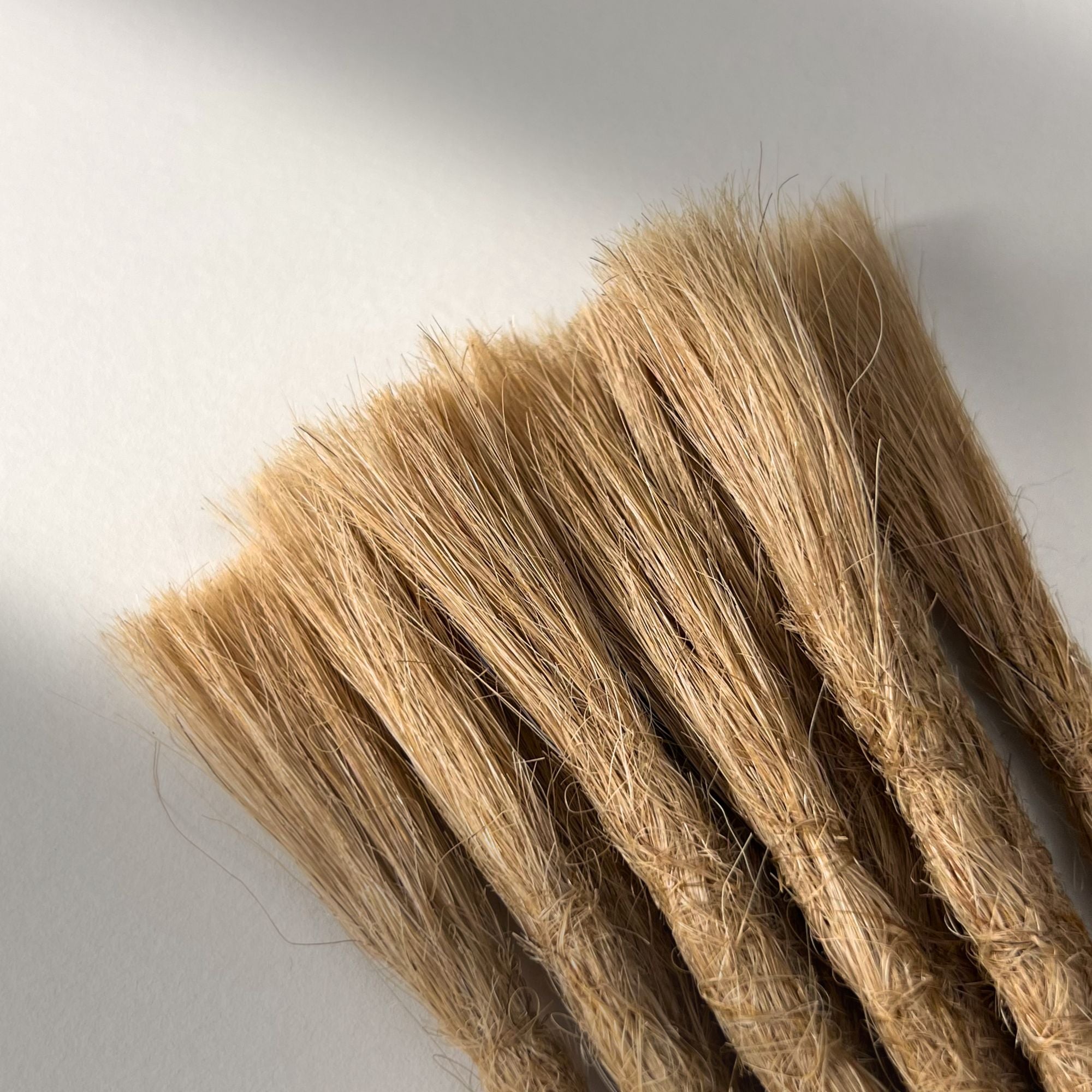 Connection point of permanent straight loc extensions with open ends in Warm Beige Blonde.