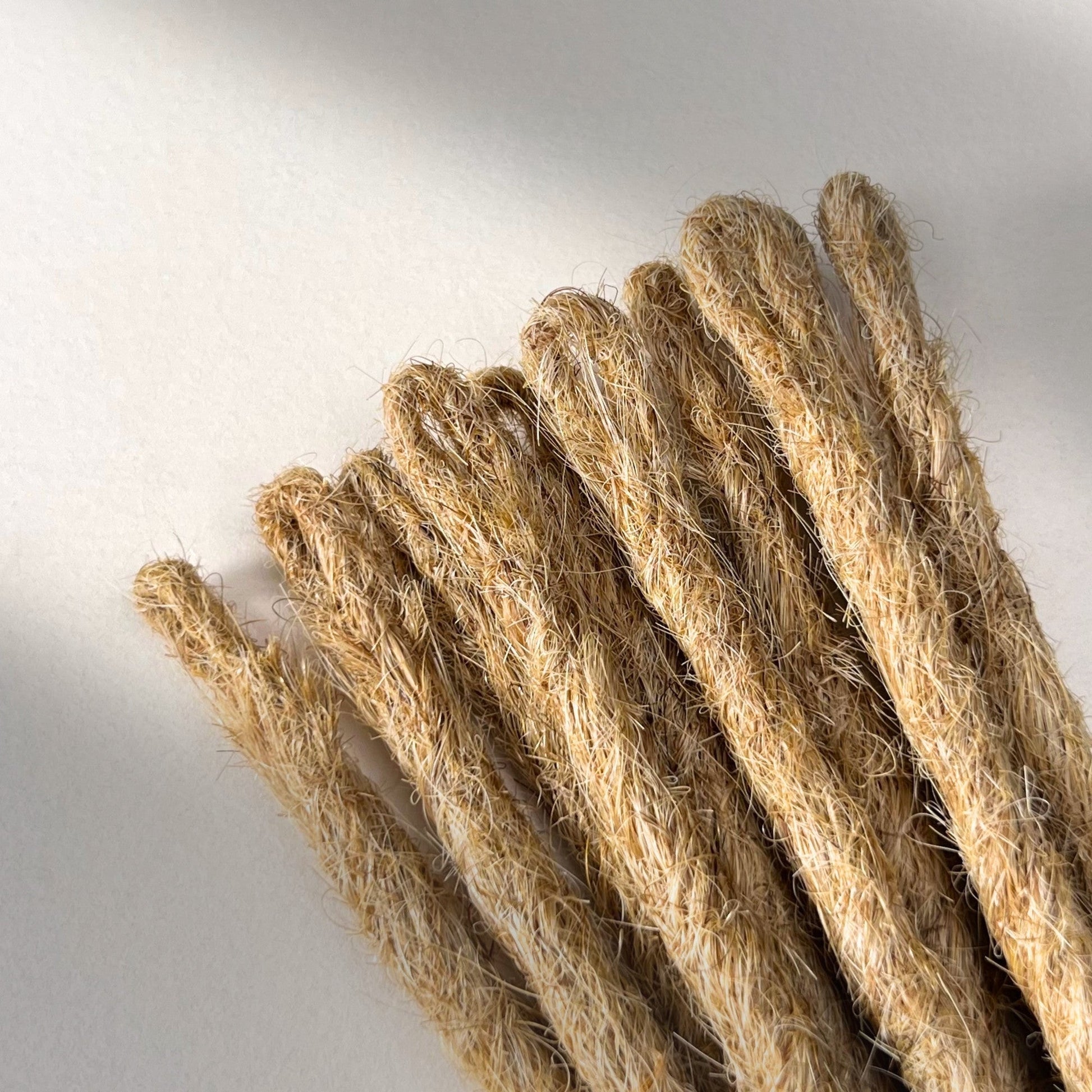 Loop detail of temporary single-ended straight loc extensions with open ends in Warm Beige Blonde.