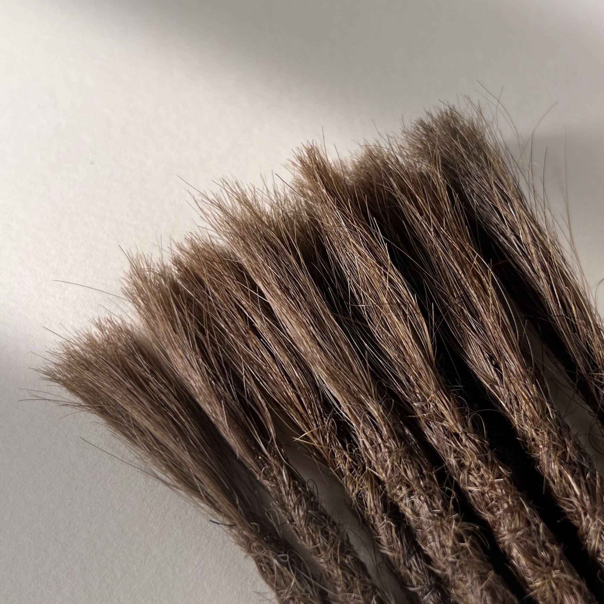 Connection point of permanent straight loc extensions in Rich Brown.