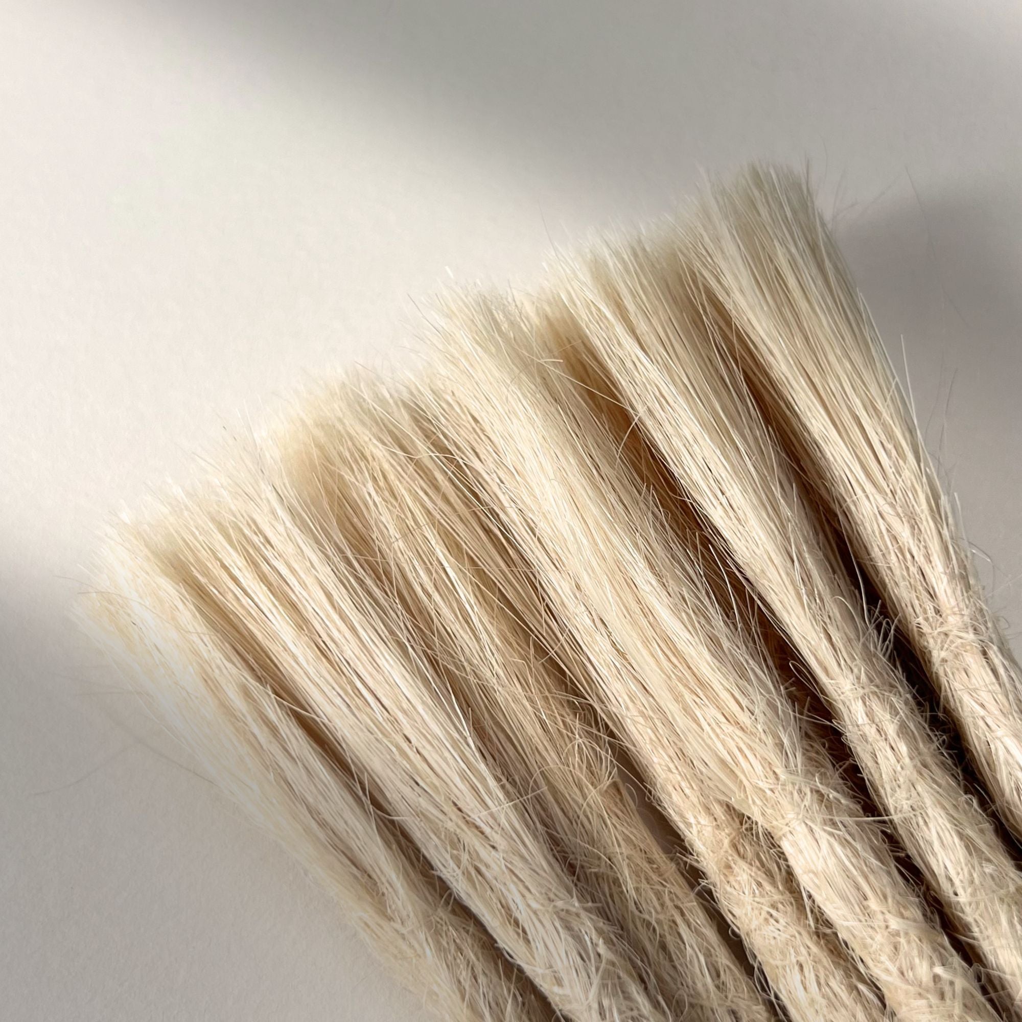 Connection point of permanent straight loc extensions with open ends in Wheat Blonde.