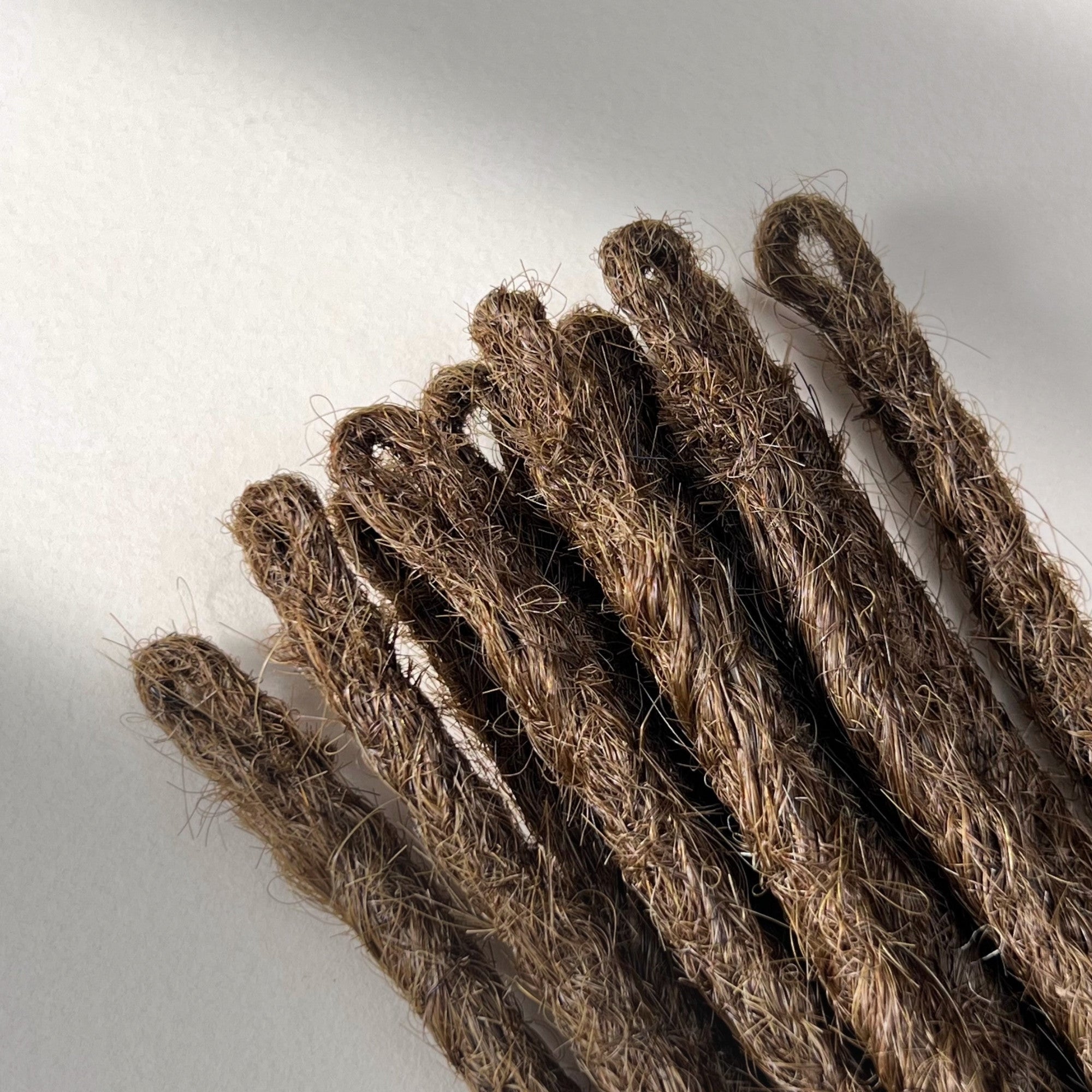 Loop detail of temporary single-ended straight loc extensions in Medium Brown.
