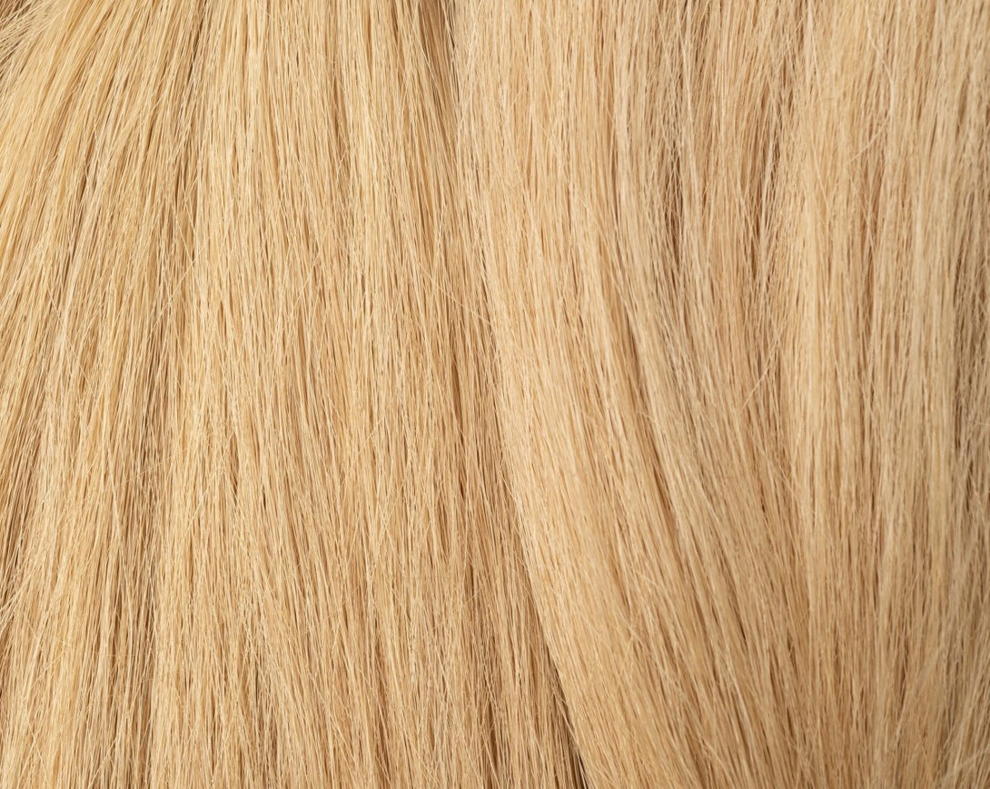 Natural hair Kit 10/1 Very light Blonde Ash - Dreadradar