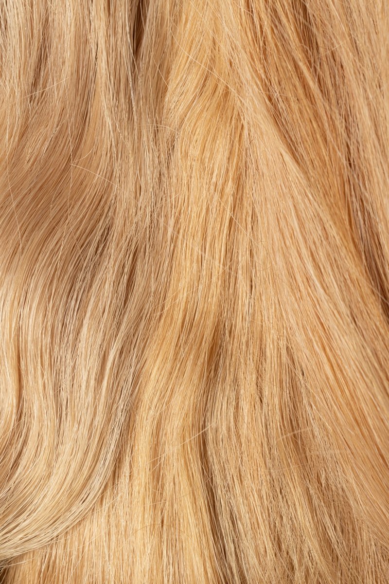 Natural hair Kit 12/03 Special Golden Blonde - Dreadradar